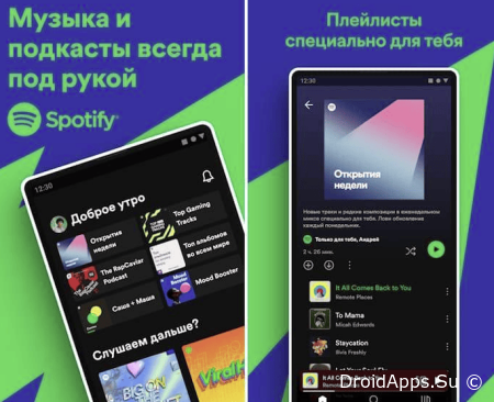 Spotify mod